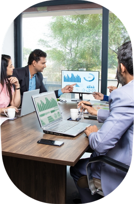 Professional Accountants